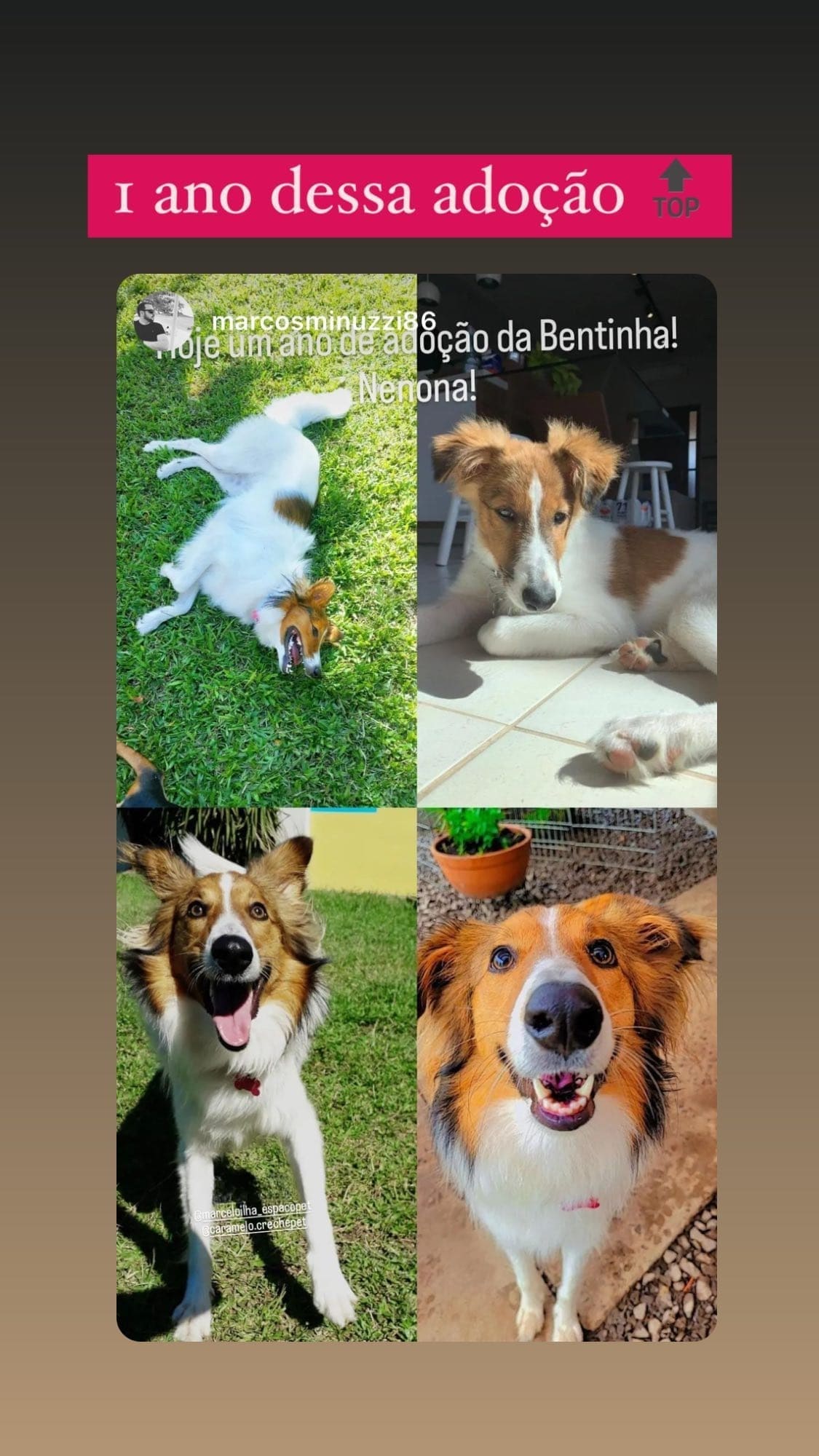 Story 7